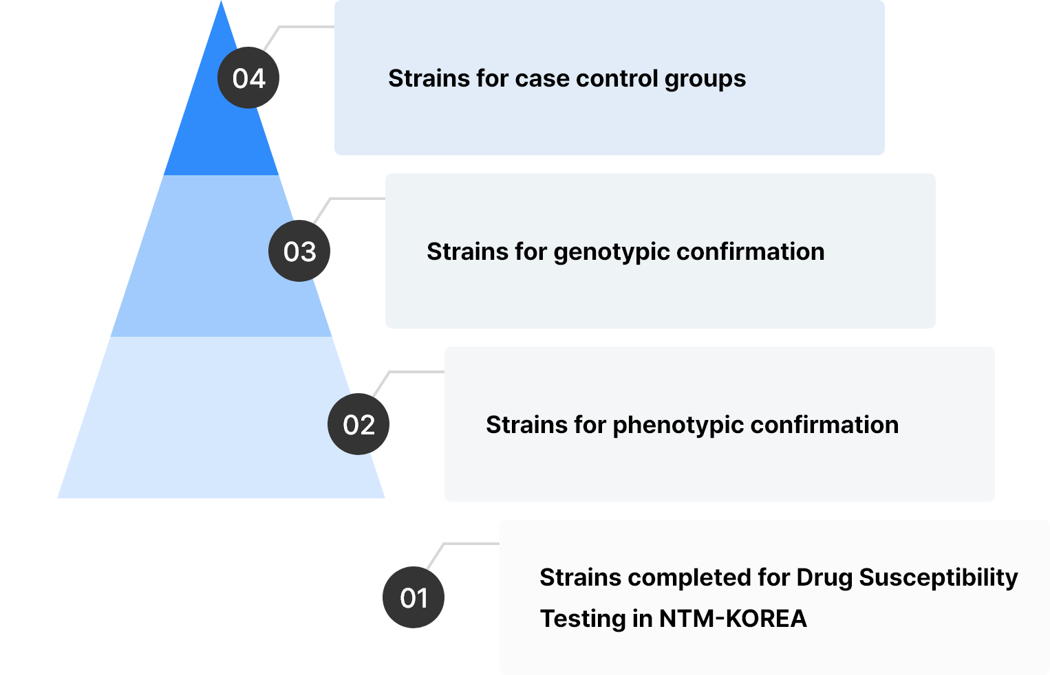 1단계 NTM-KOREA 참여기관 DST 균주 전수, 2단계 표현형 확인군주 확인, 3단계 유전형 확인균주 확인, 4단계 사례 대조균 대상 균주 순서로 진행하고 있습니다. 