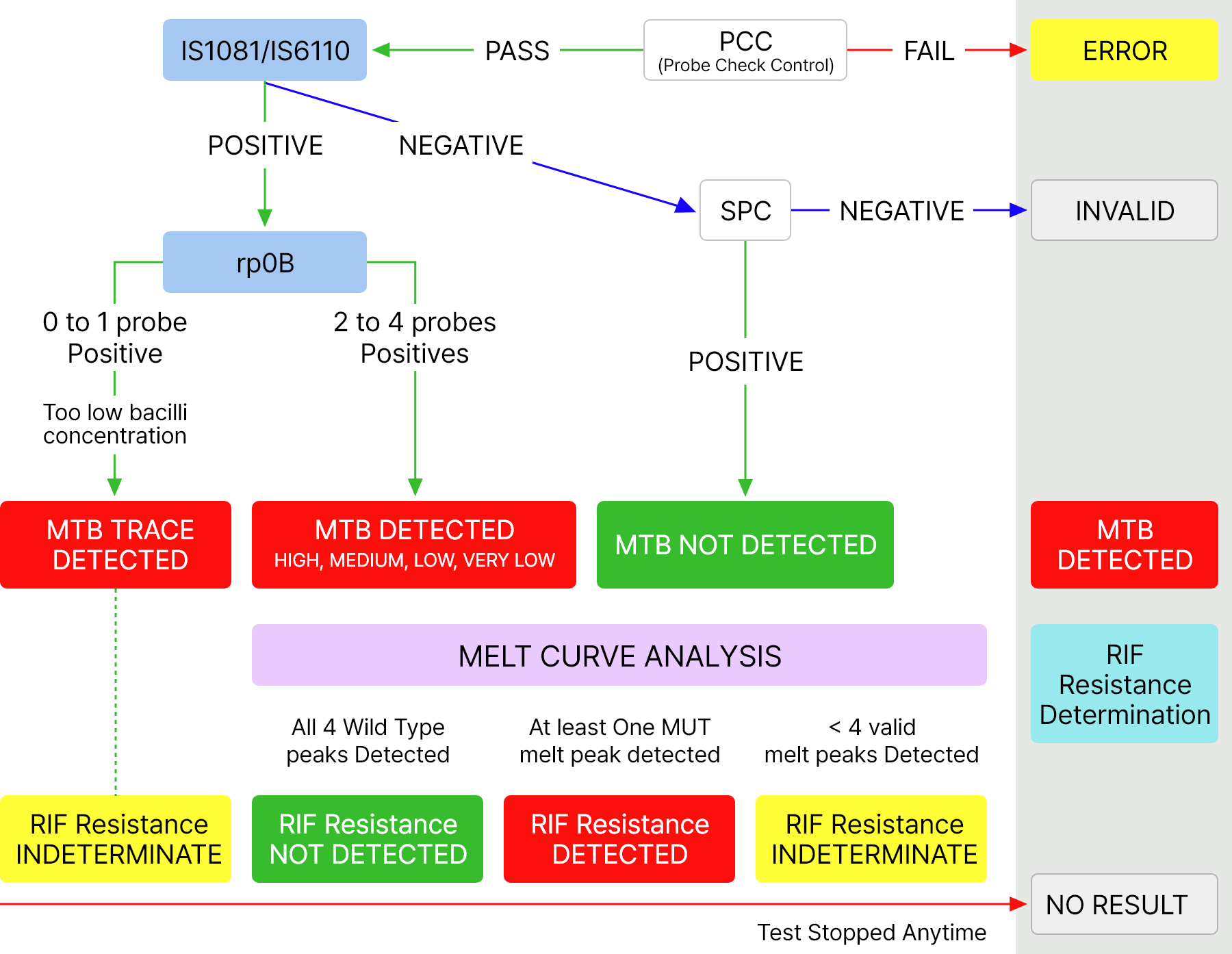 Xpert MTB/RIF  세포이미지 